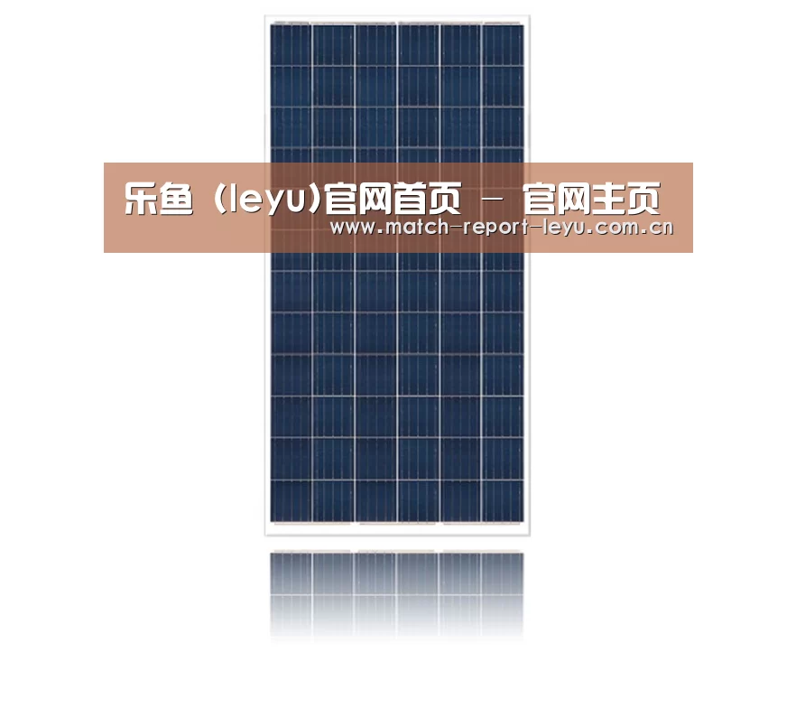 产品名称一