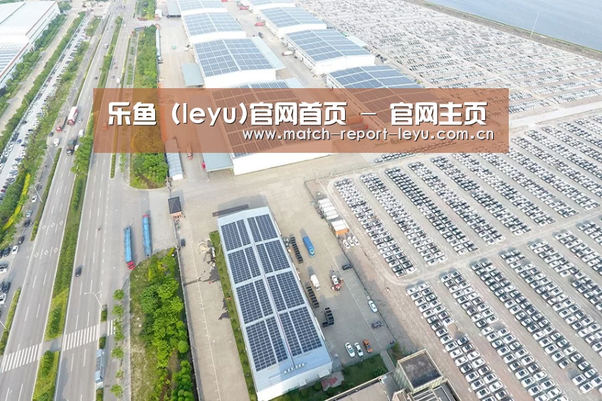 案例展示四
