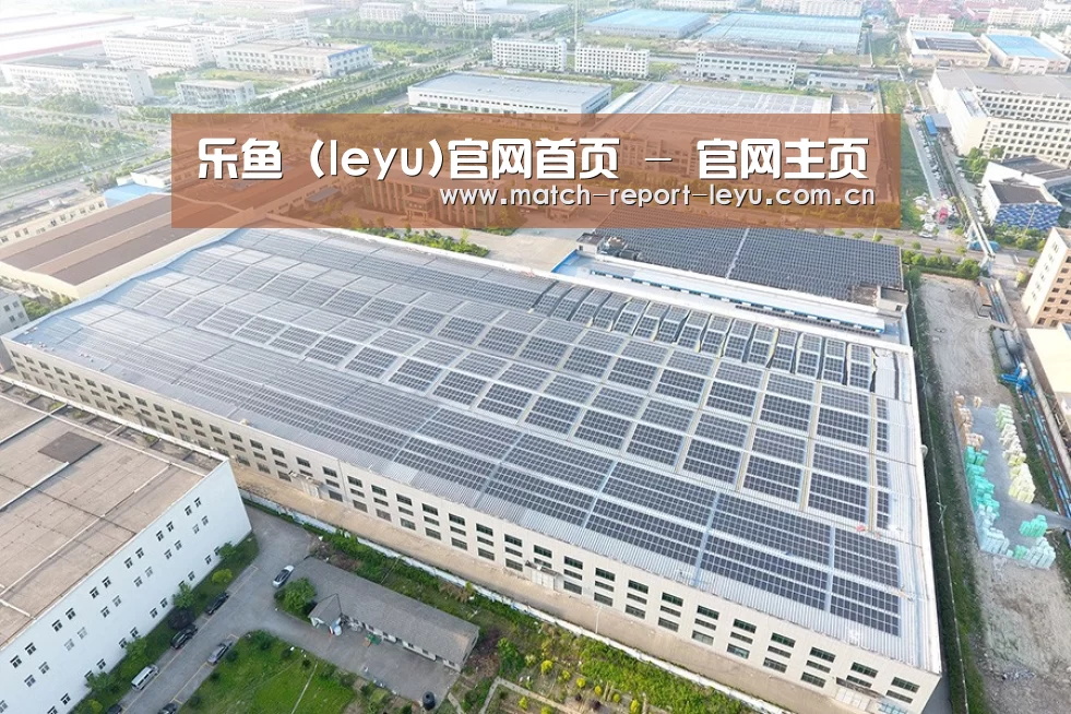 案例展示四