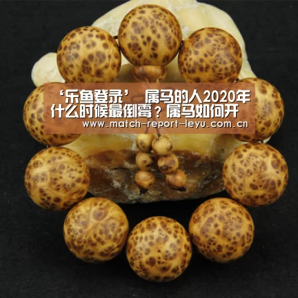 乐鱼入口